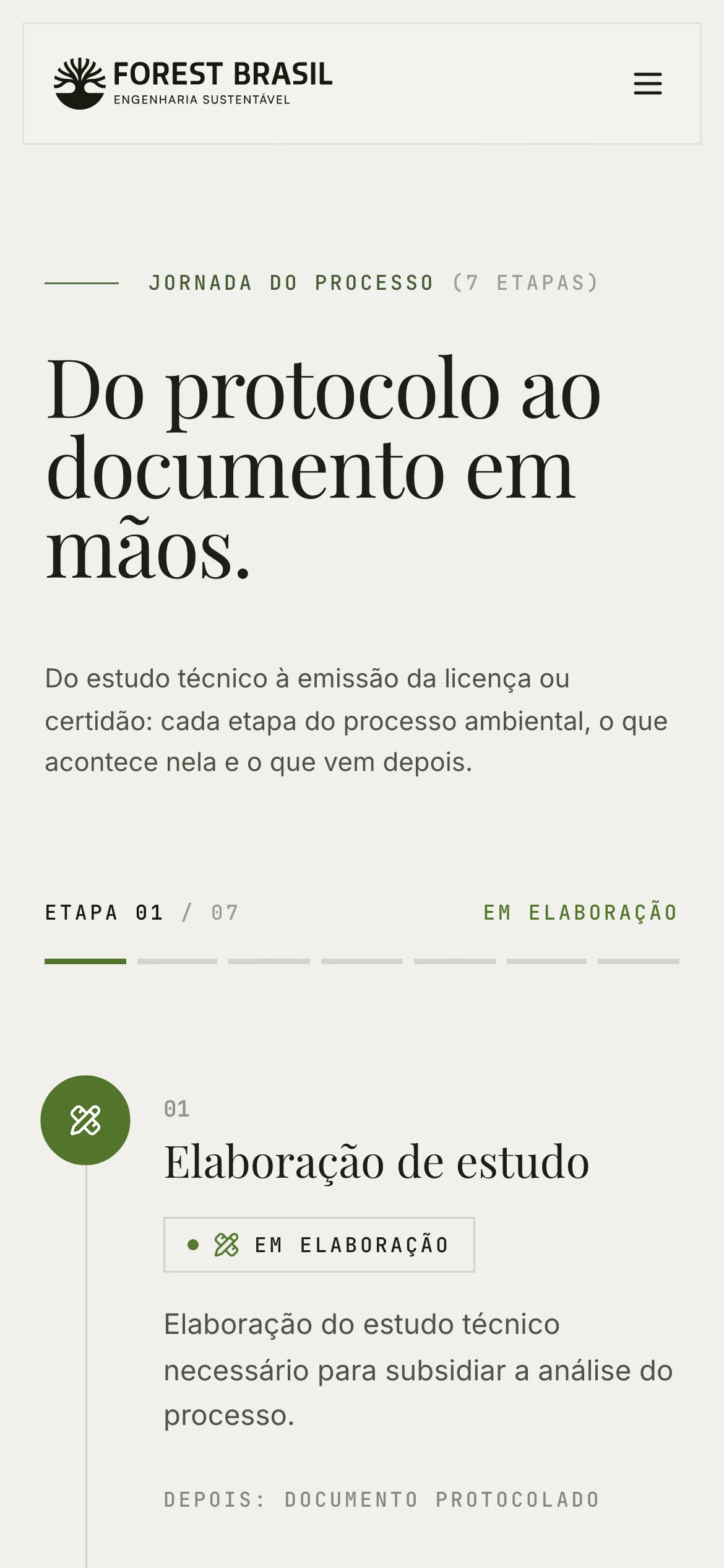 Processo da Forest Brasil no celular