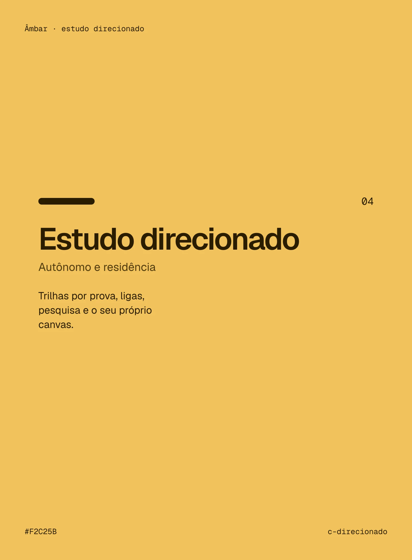 Âmbar: Estudo direcionado