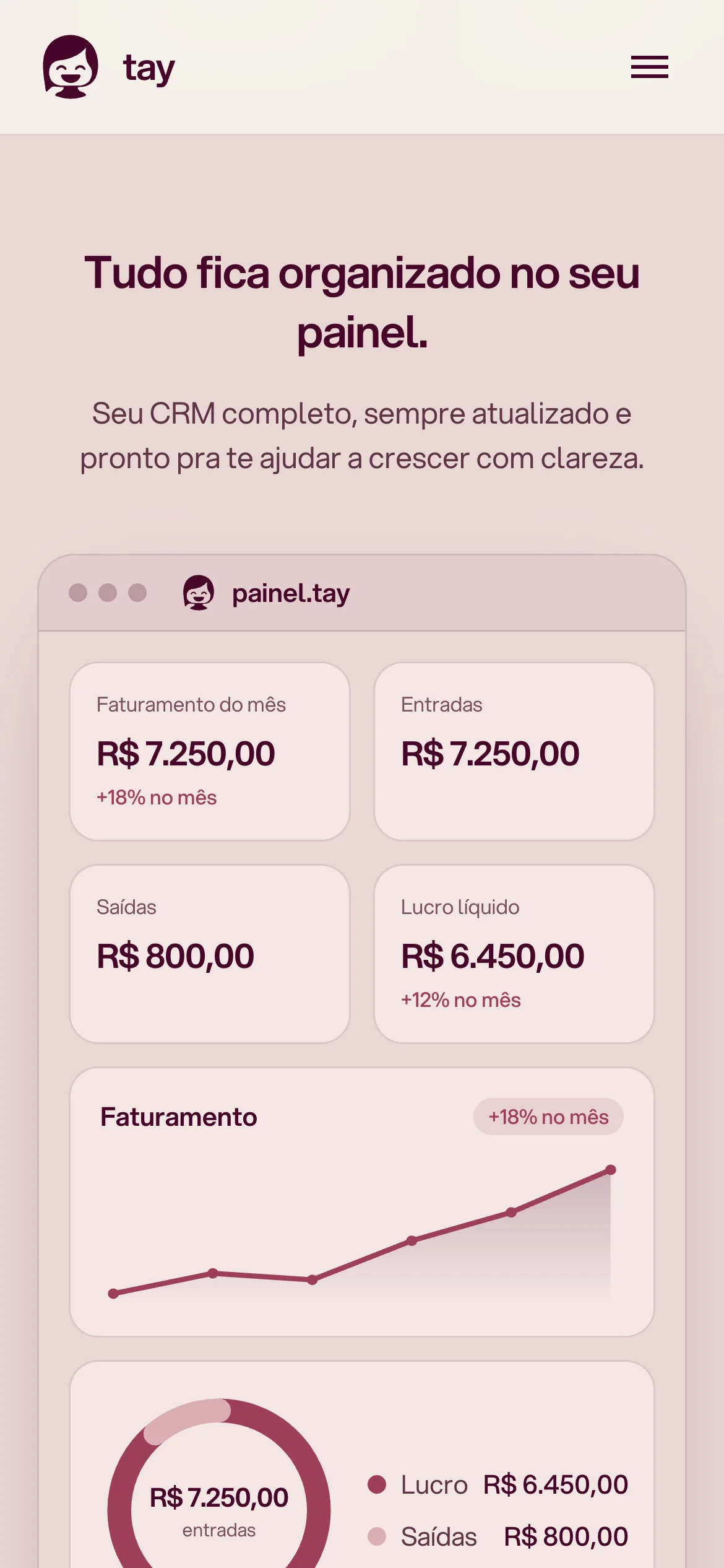 Painel com faturamento, entradas e saídas no celular