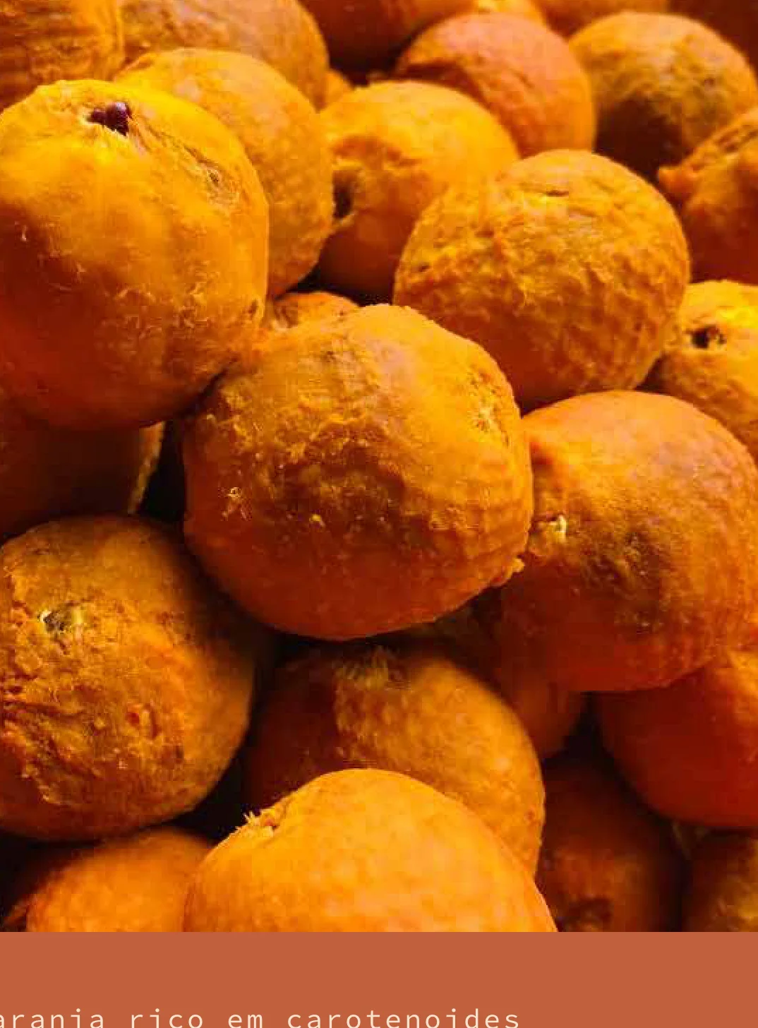 Polpa de Buriti: O óleo rico em carotenoides